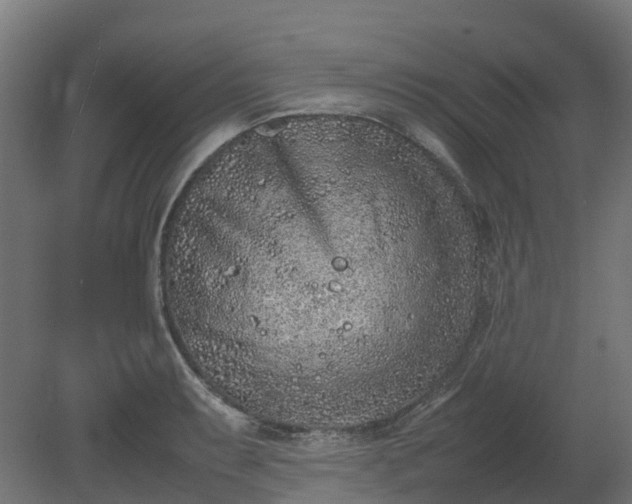 X0000080111087200612151640