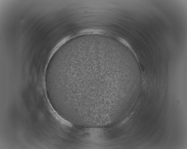 X0000080111090200612151640