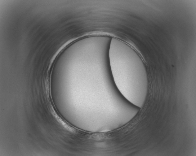 X0000080111092200612151640