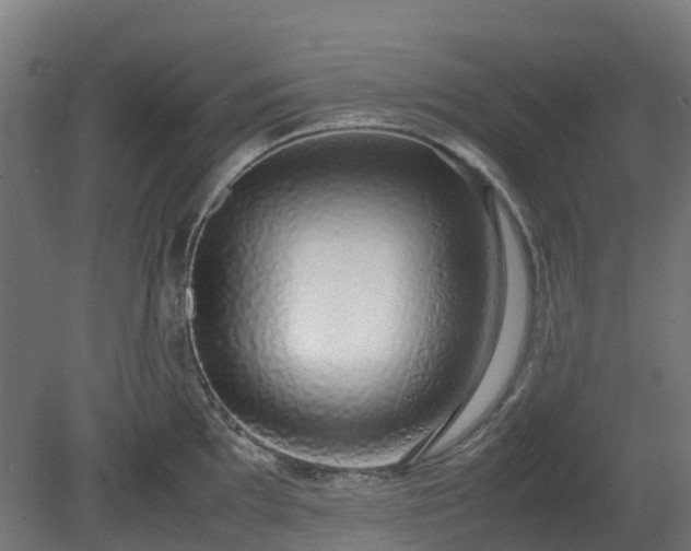 X0000080111097200612151640