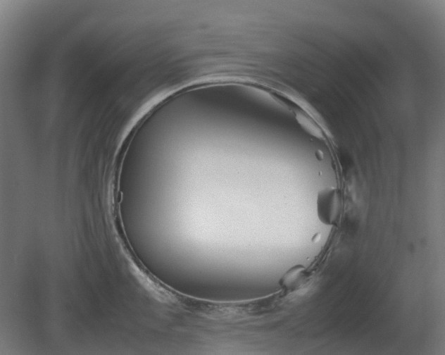X0000080111101200612151640
