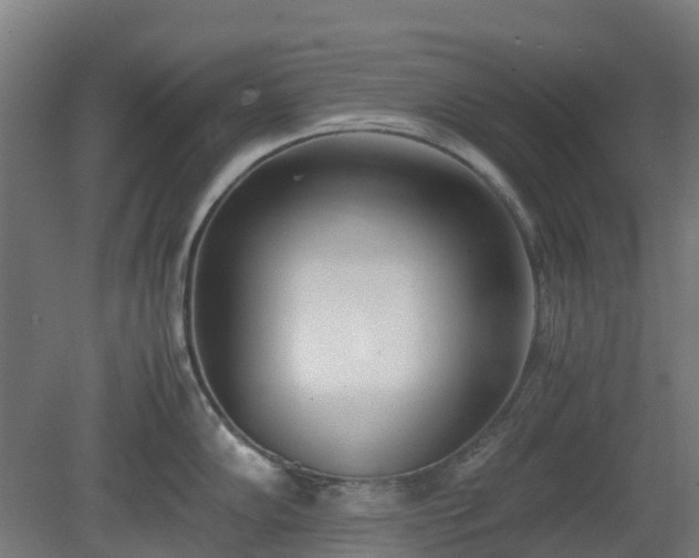X0000080111102200612151640