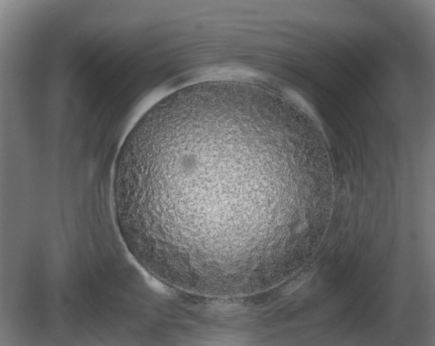 X0000080111103200612151640