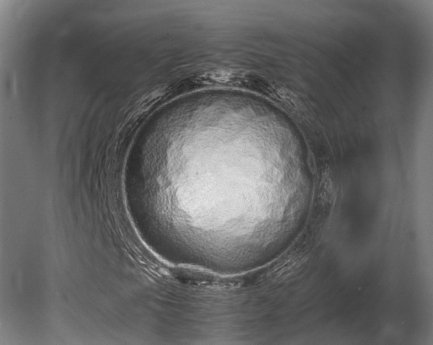 X0000080111105200612151639