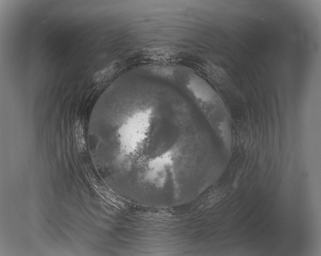 X0000080111106200612151639