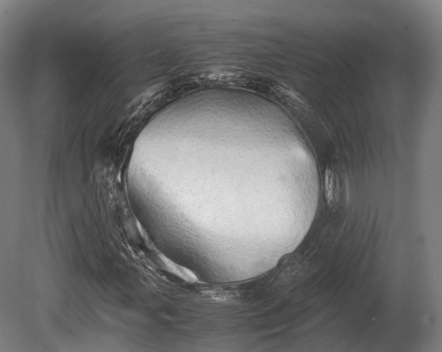 X0000080111107200612151639