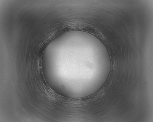 X0000080111108200612151639