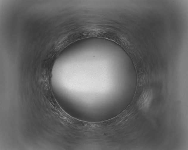 X0000080111109200612151639