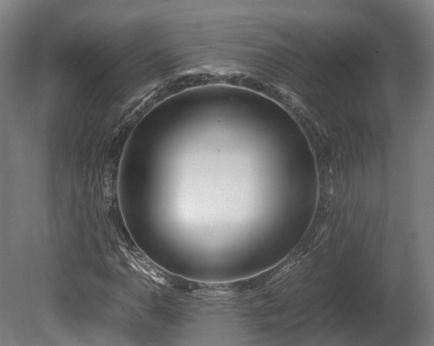 X0000080111110200612151639