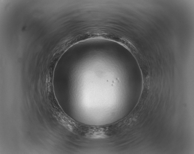 X0000080111111200612151639