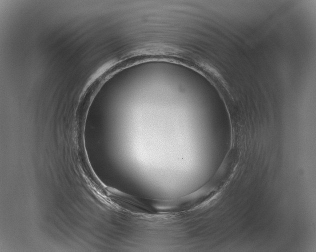 X0000080111114200612151639