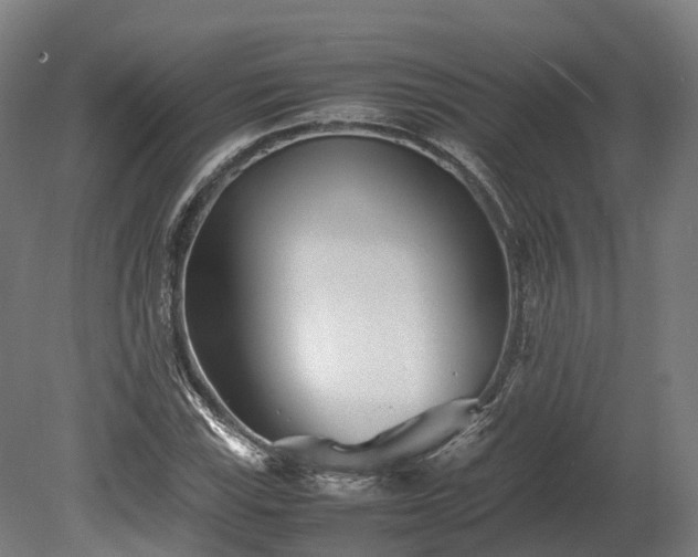 X0000080111115200612151640