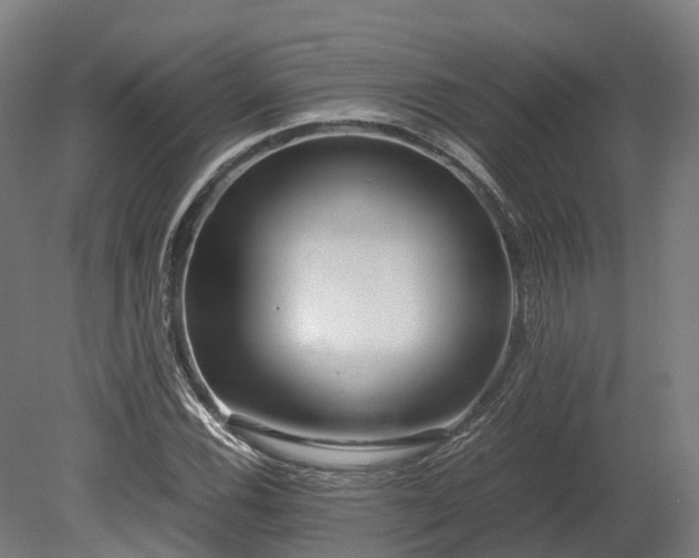 X0000080111116200612151640