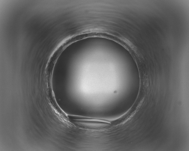 X0000080111118200612151640