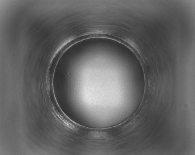 X0000080111119200612151640