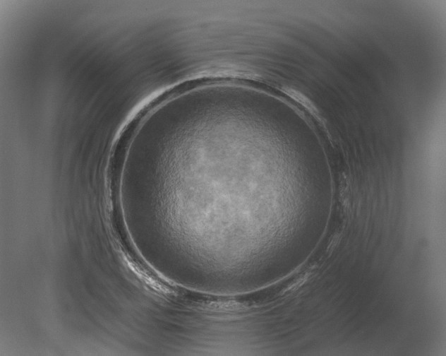X0000080111120200612151640