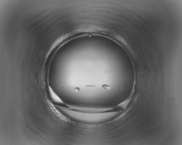 X0000080111122200612151640