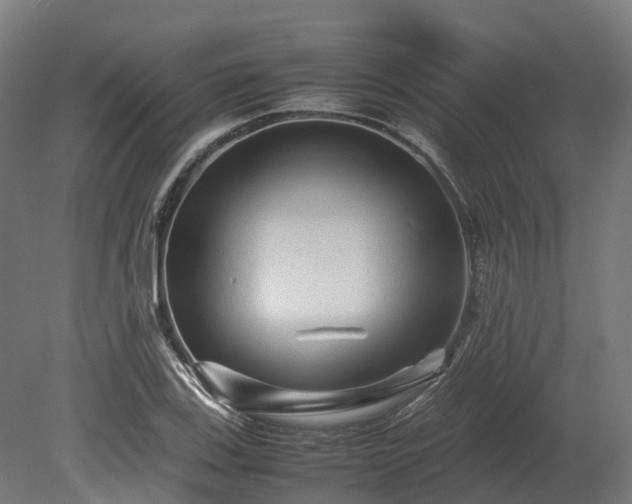 X0000080111123200612151640