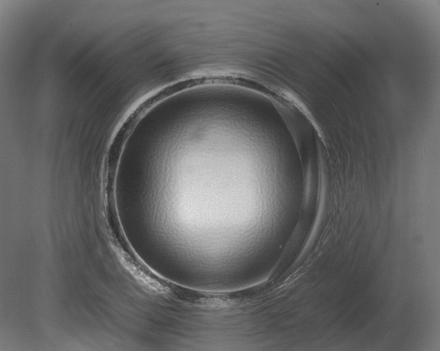 X0000080111124200612151640