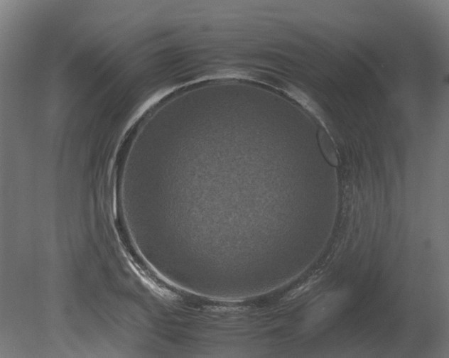 X0000080111127200612151640