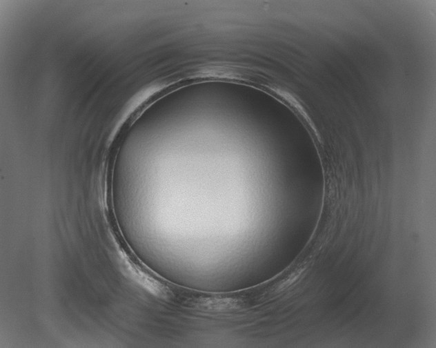 X0000080111131200612151640