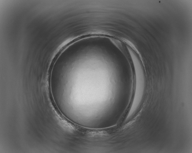 X0000080111133200612151640