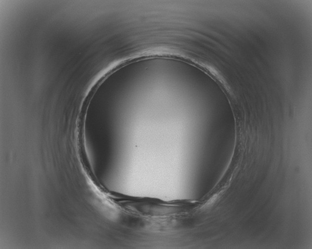 X0000080111134200612151640