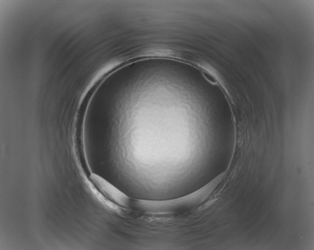 X0000080111139200612151640