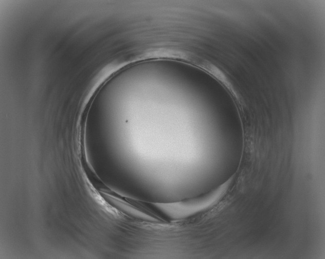 X0000080111140200612151640