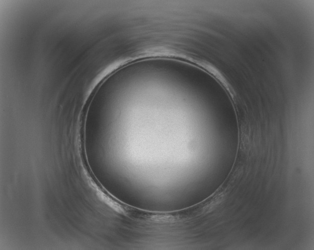 X0000080111142200612151640
