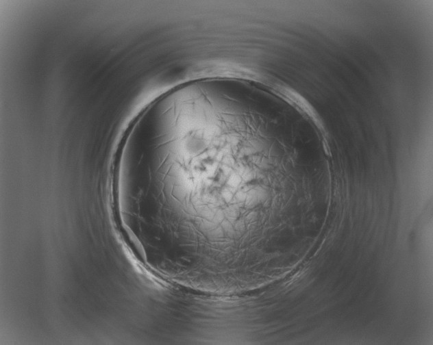 X0000080111144200612151640