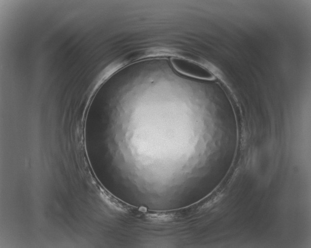 X0000080111145200612151640