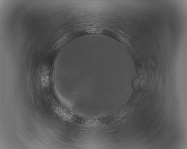 X0000080111154200612151639