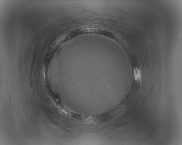 X0000080111155200612151639