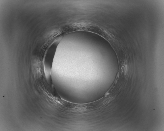 X0000080111156200612151639