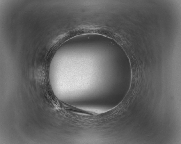X0000080111157200612151639