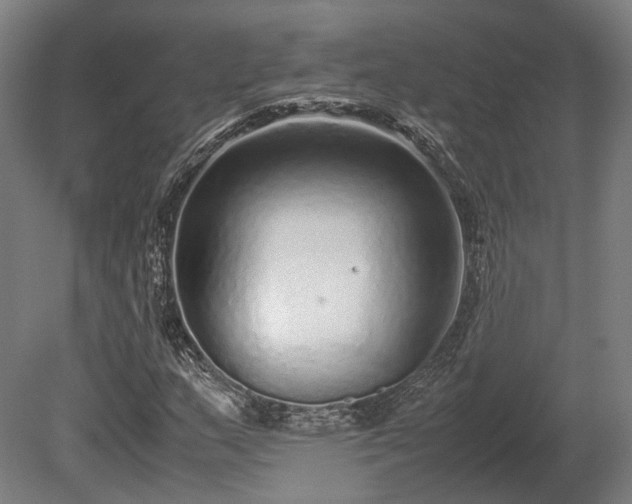 X0000080111159200612151639