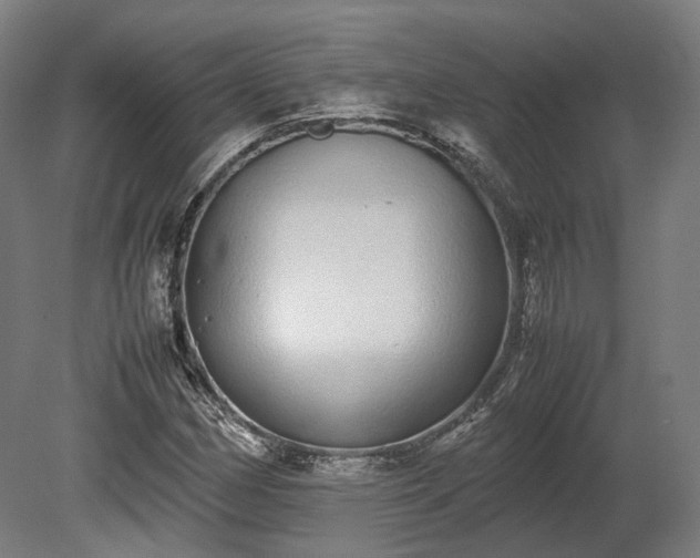 X0000080111162200612151639