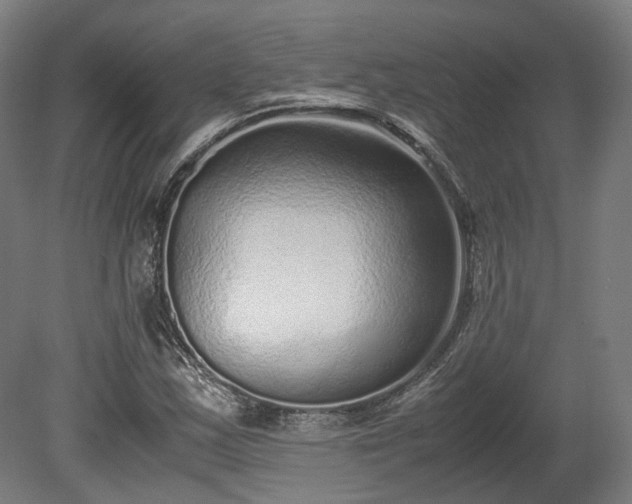 X0000080111163200612151639