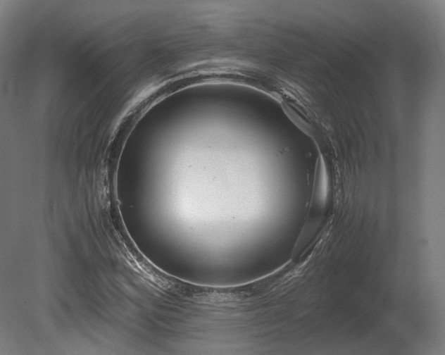 X0000080111164200612151639