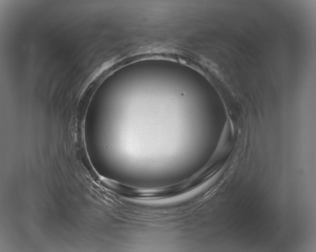 X0000080111165200612151639