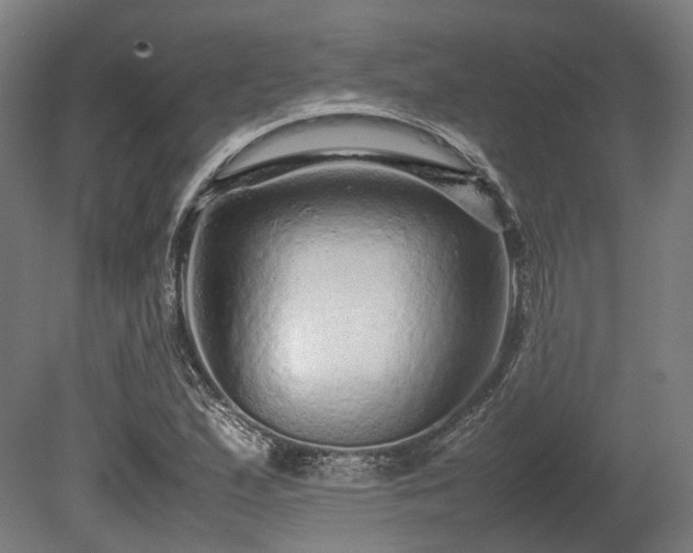 X0000080111167200612151639