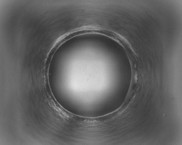 X0000080111168200612151639