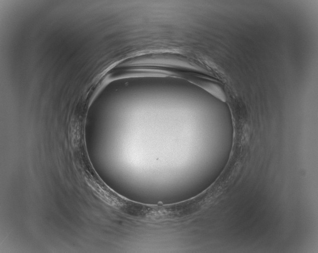 X0000080111169200612151639