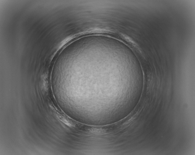 X0000080111170200612151639