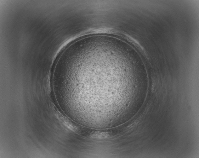 X0000080111174200612151639