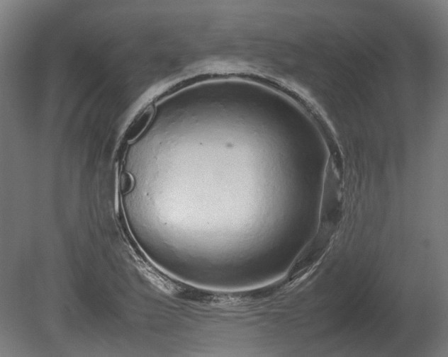 X0000080111175200612151639