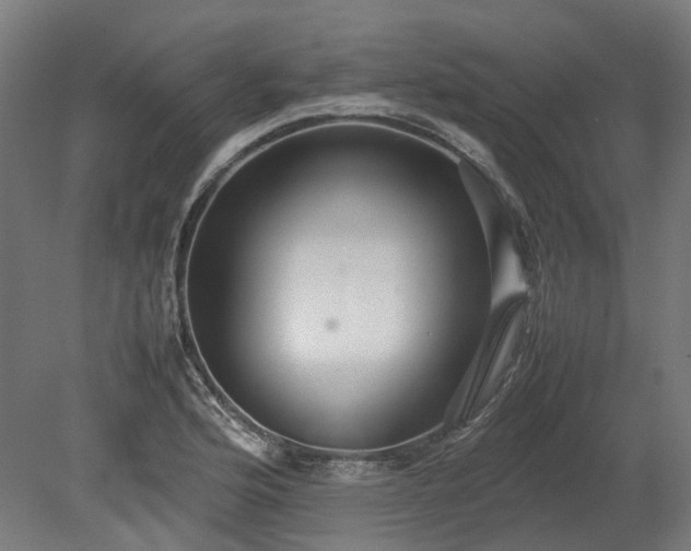 X0000080111176200612151639