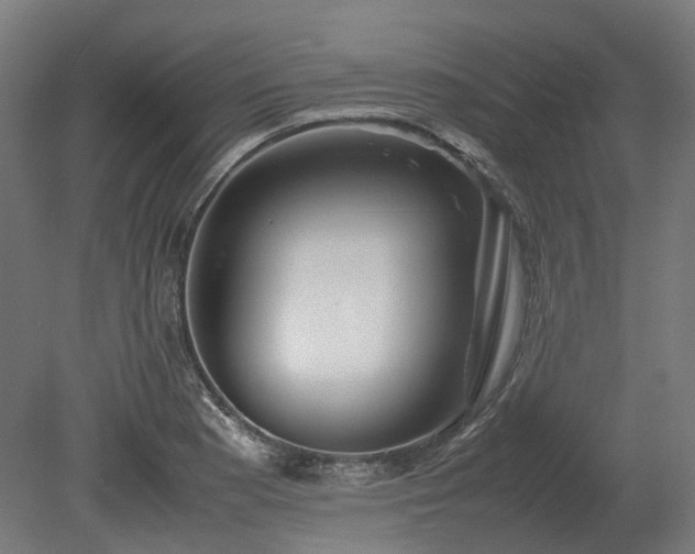X0000080111177200612151639