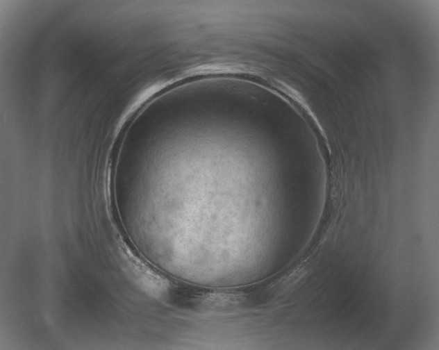 X0000080111179200612151639